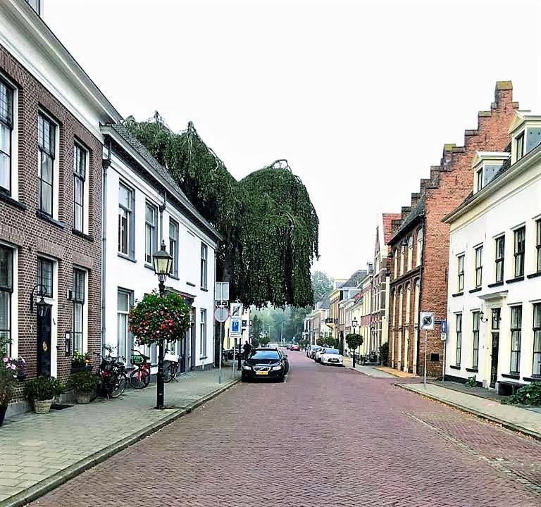 De Buurvrouw Nr.18 Panzió Doesburg Kültér fotó